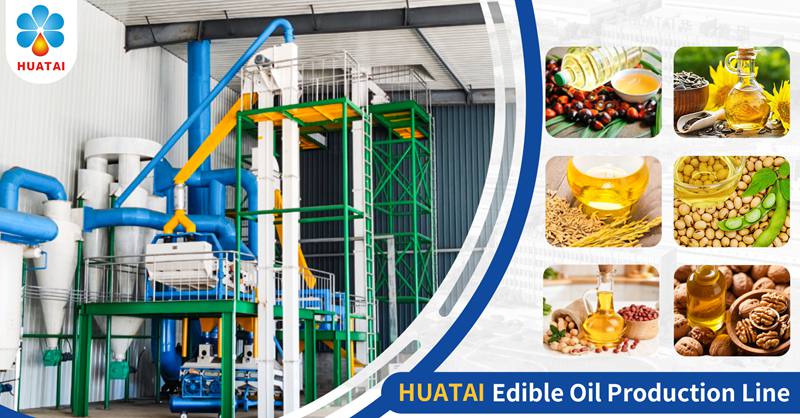 Huatai Oilseed Pretreatment Plant – The Foundation of Premium Edible Oil